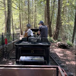 Journey Through Tilden's Woodland