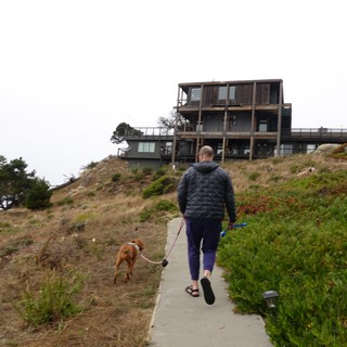 Man Walking Dog on Coastal Trail