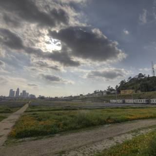 Train Traveling Through Field with City in Background