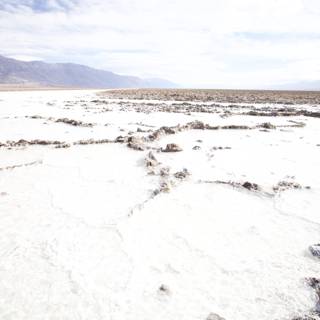 Serene Salt Flats