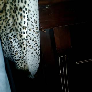 Wild Dreams on a Leopard Print Bedspread