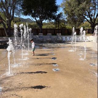 Splash of Joy