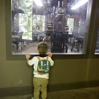 Childhood Wonder at the Tilden Steam Trains