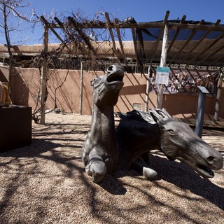 Bronze Horse Sculptures at Adobe Courtyard in Santa Fe