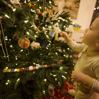 Toddler's Wonder at Christmas Tree Decorations