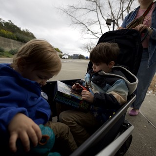 Children Reading in Wagon During Overcast Day Outing
