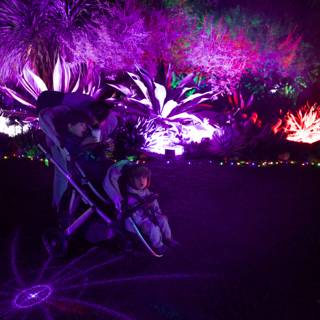 Luminous Night Wonders