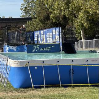 Dive into Summer Fun