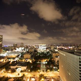 A Nighttime Metropolis View