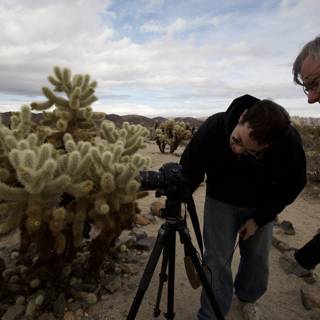 Capturing the Cactus