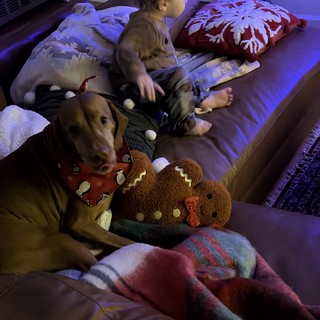 Children and Dog Relaxing During Evening Movie Time