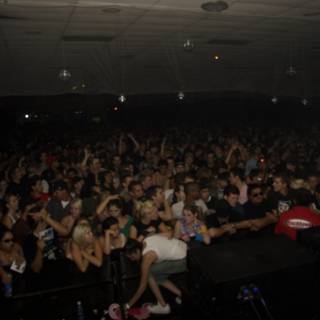 Massive Crowd at Night Club Concert