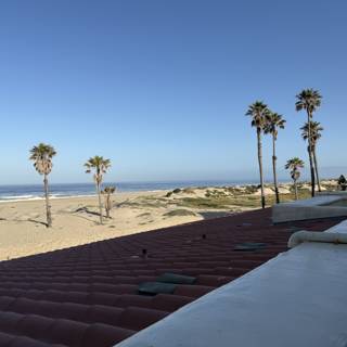 A Tranquil Morning by the Sea