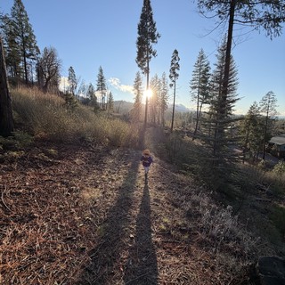 long-shadow