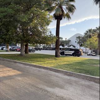 Serenity in Indio
