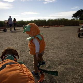 Young Cowboy Adventure at the Halfmoon Bay Pumpkin Patch, 2023
