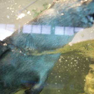 Otterly Enchanting Swim