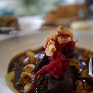 Gourmet Dark Meat Dish with Cranberry and Cashew Garnish