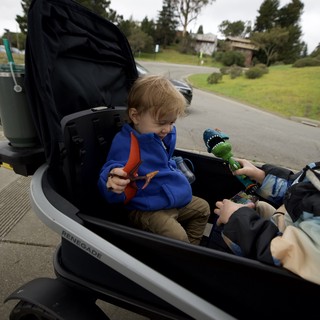 Young Child in Cargo Bike with Dinosaur Toy