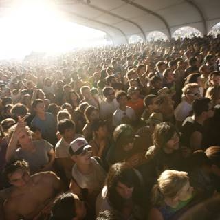 Coachella 2008 Crowd at Music Festival