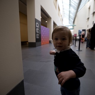 Toddler Exploring Asian Art Museum in San Francisco