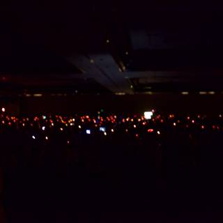 Glowing Nighttime Vigil