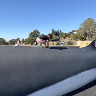 Skateboarder Performs Hand Plant at Concrete Skatepark