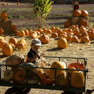 The Harvest Hustle at Metzgars' Pumpkin Patch, 2023