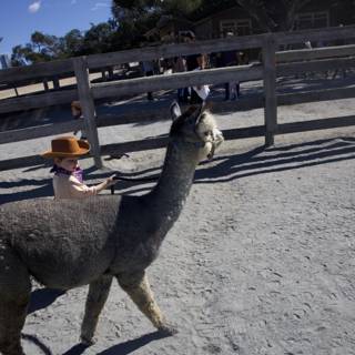 Little Ranchers’ Day Out