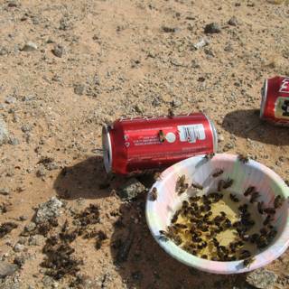 Ants on a Soda Can