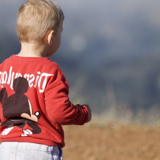 Young Boy Gazing at Mt. Diablo Wilderness in Disney Sweater