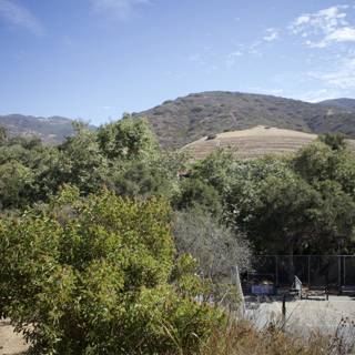 Tennis in the Wilderness