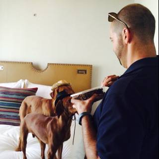 Two Dogs and a Man on a Bed