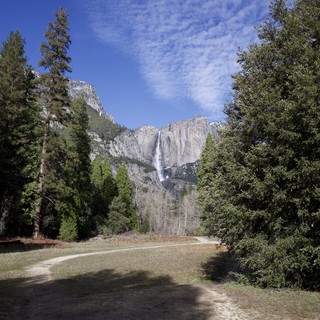 Yosemite Falls Framed by Meadow and Forest