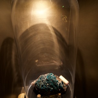 Turquoise Mineral and Gold Specimens Under Glass Display