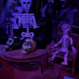 Day of the Dead Skeletons on Display