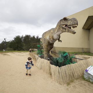 Child Encounters Life-Size T-Rex Display at Outdoor Exhibit