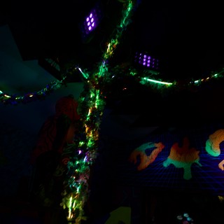 Illuminated Dragon Installation in Festive Night Display