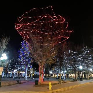 Urban Christmas Tree and Street Light