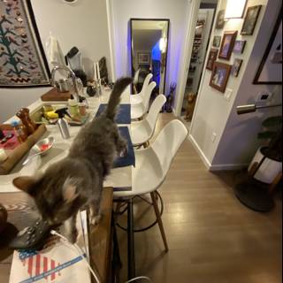 Feline Observer in Contemporary Kitchen