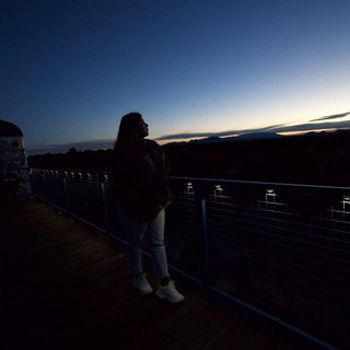 Silhouette at Sunset: Contemplative Moment on Observatory Deck