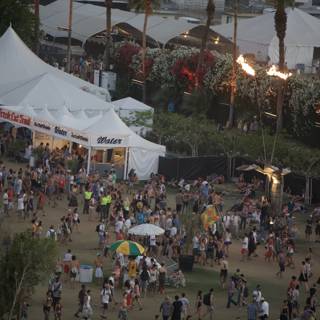 Festival Fun under Palm Trees
