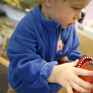 Young Child Exploring Dental Model in Educational Setting