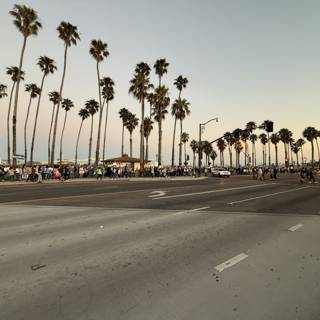 Twilight Gathering in Santa Barbara