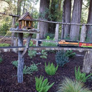 Miniature Railway Adventure in a Forest Wonderland