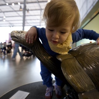 Young Child Exploring Bronze Bird Sculpture in Museum