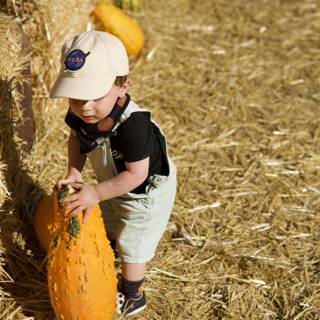 Autumn Harvest: Wesley's Pumpkin-Picking Adventure