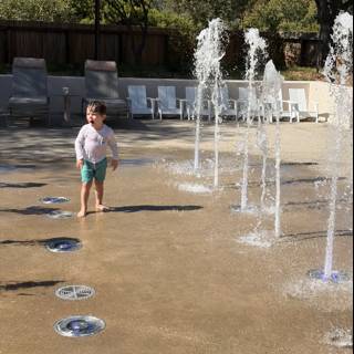 Joyful Dance in the Sunlit Fountains