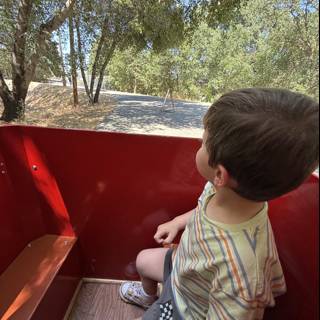 Exploring Summer Adventures