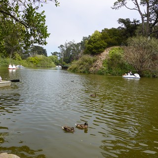 Peaceful Lake Boating with Ducks Swimming
